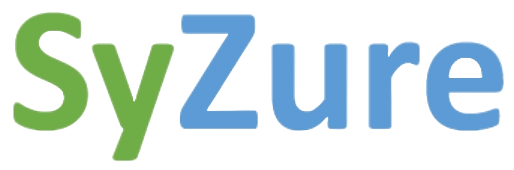 Rental SyZure Service